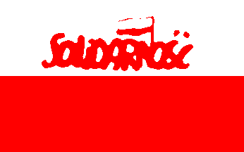 Solidarity supporter's flag
